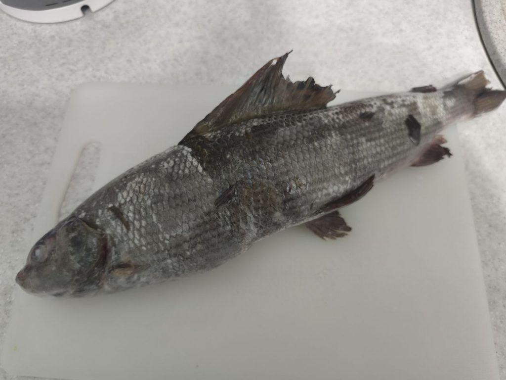 Строганина из хариуса