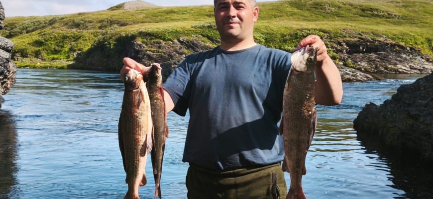рыбалка на реке Нярма-Яха арктический голец улов Воркута