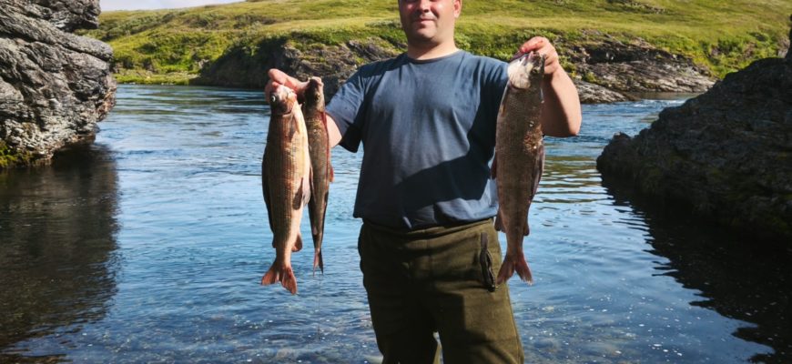 рыбалка на реке Нярма-Яха арктический голец улов Воркута