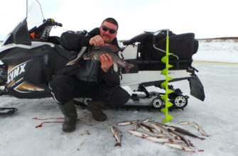 Хариус зимой