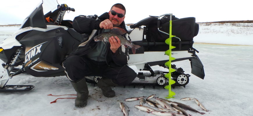 Хариус зимой