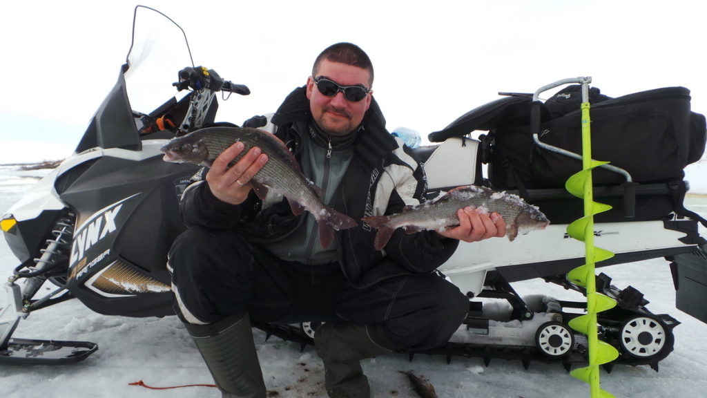 трофейный хариус Рыбалка на хариуса зимой